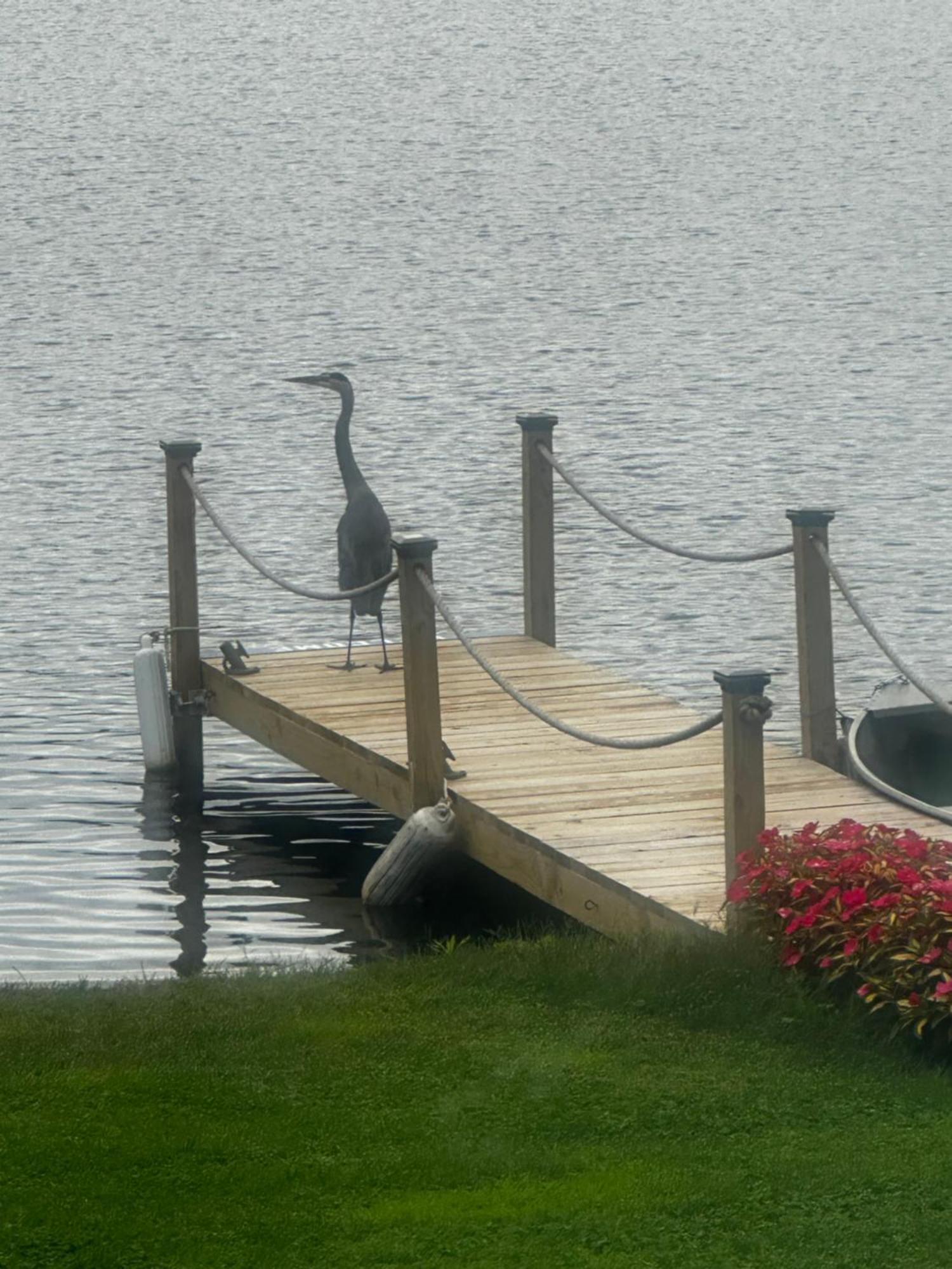 Welcome To The Lake Northwood Eksteriør billede